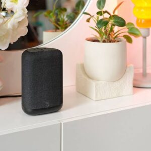 Bluesound Pulse X P130