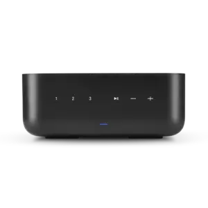 Denon Home Amp